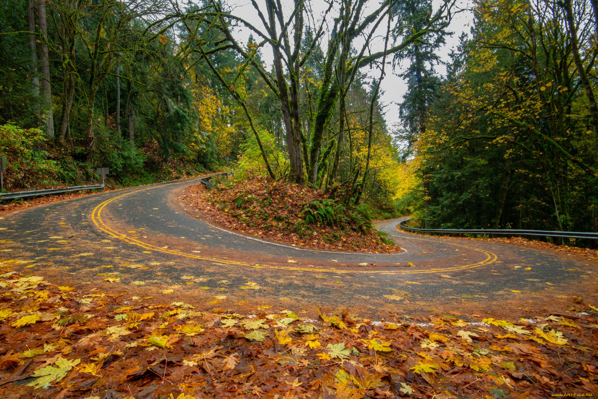 �������, ������, ������